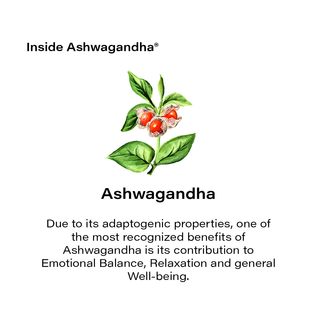 Biogainz® Ashwagandha 1000 mg 120 capsules
